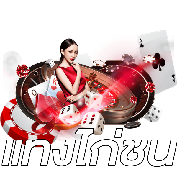 แทงไก่ชน